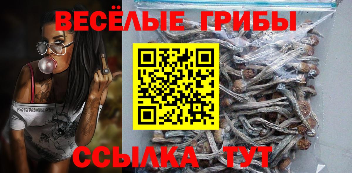 Псилоцибиновые грибы прущие грибы  Вход с VPN  Острогожск 